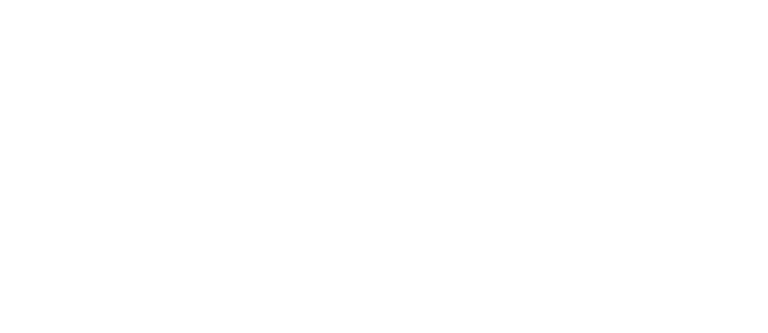 Bindi Logo